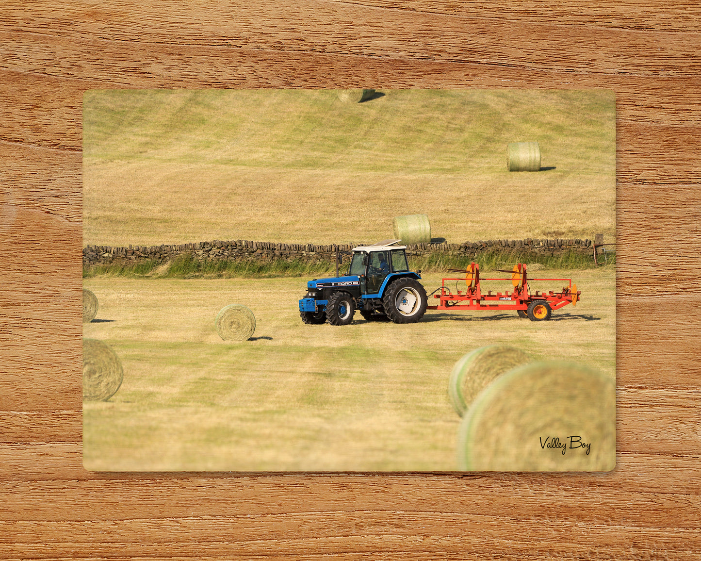 “Make Hay While The Sun Shines” Glass Worktop Saver