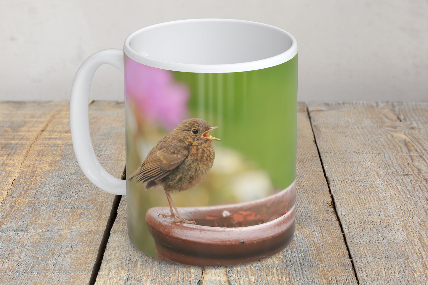 “Young Robby Robin” Mug