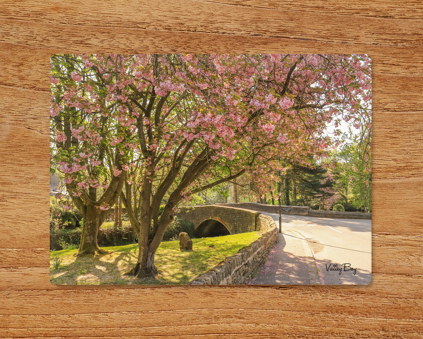 “The Beautiful Blossom Tree in the Village of Low Bradfield” Glass Worktop Saver
