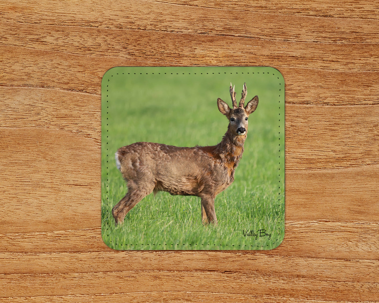 “Handsome Roebuck” Coaster