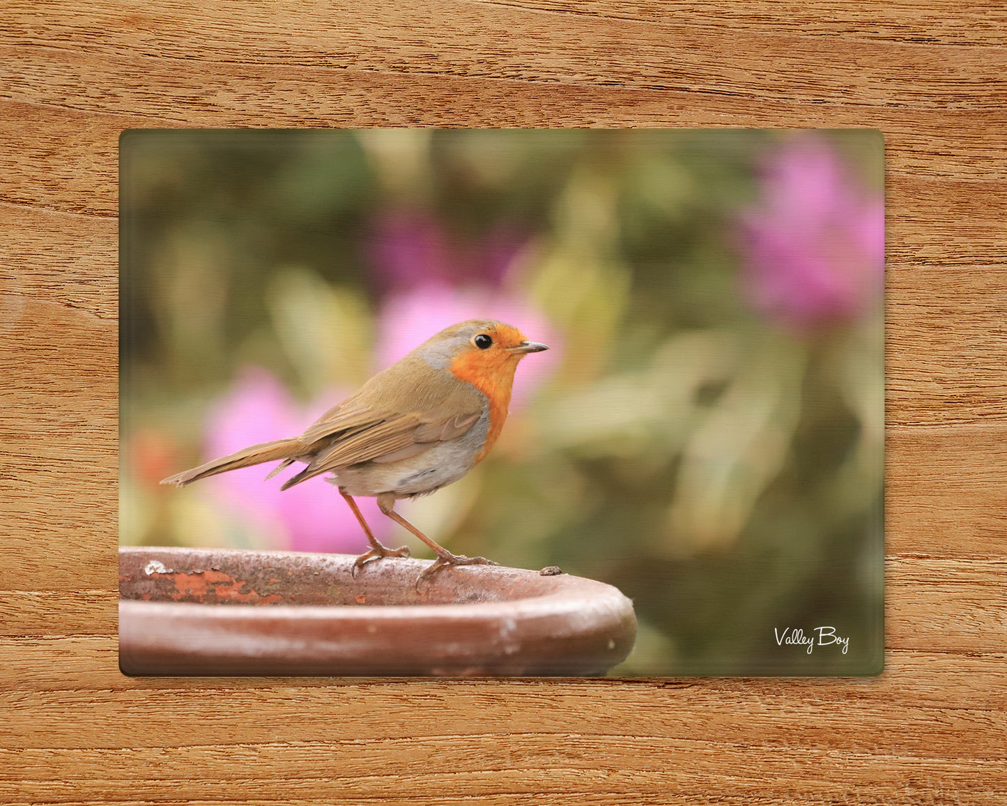 “The Lovely Robby Robin” Glass Worktop Saver