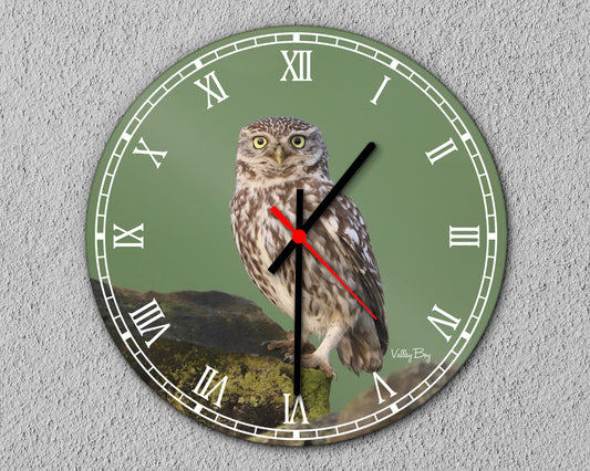 "Little Owl” Clock