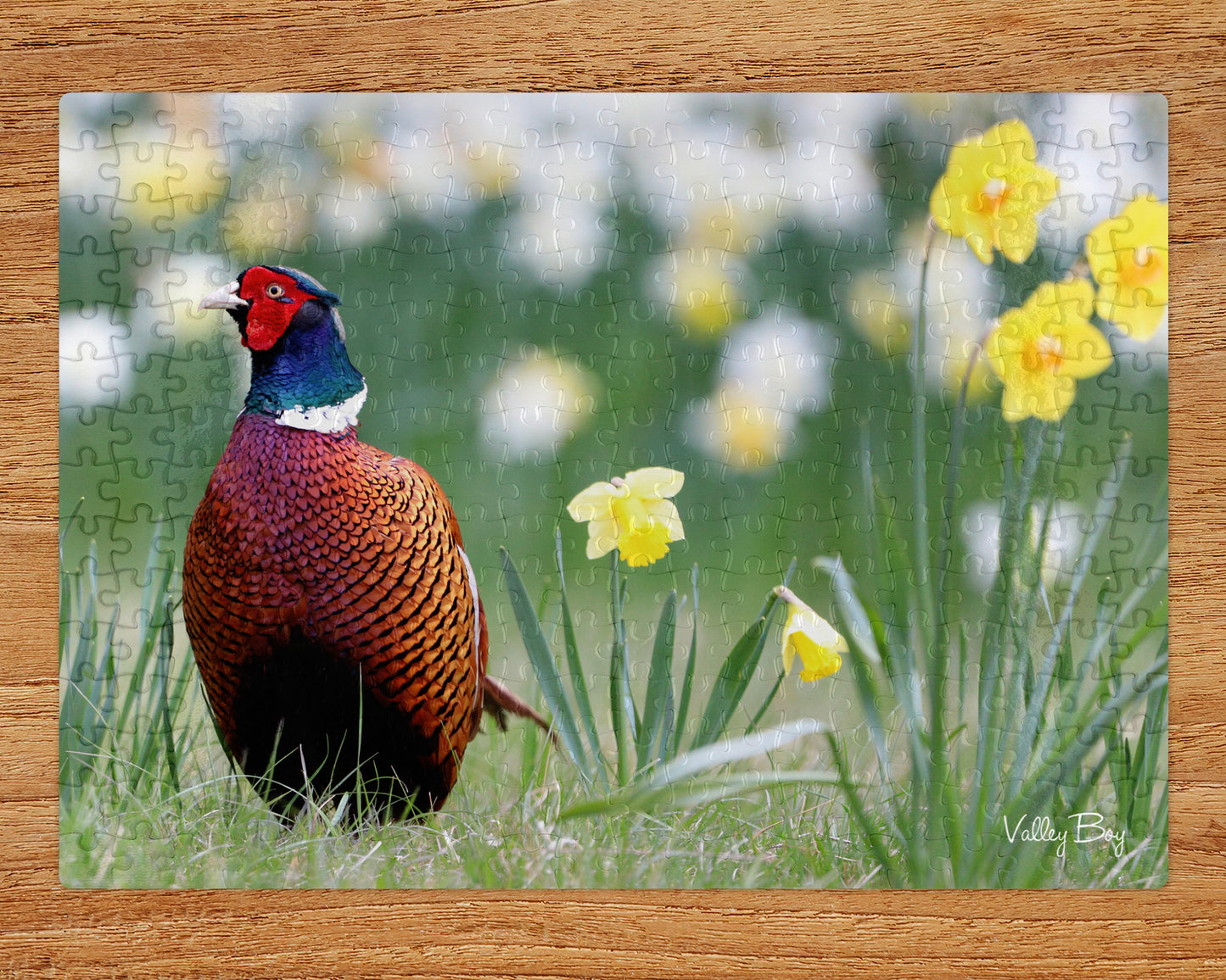 “Rufus in Springtime" Jigsaw Puzzle
