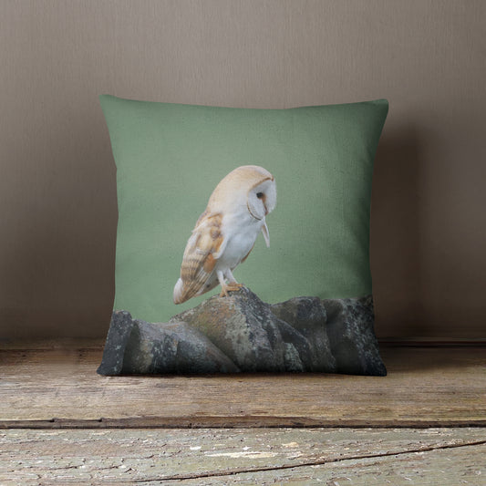 "Barn Owl" Cushion