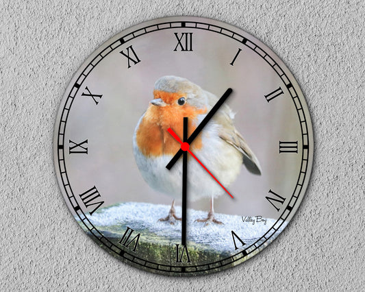 "Frosty Toes” Clock
