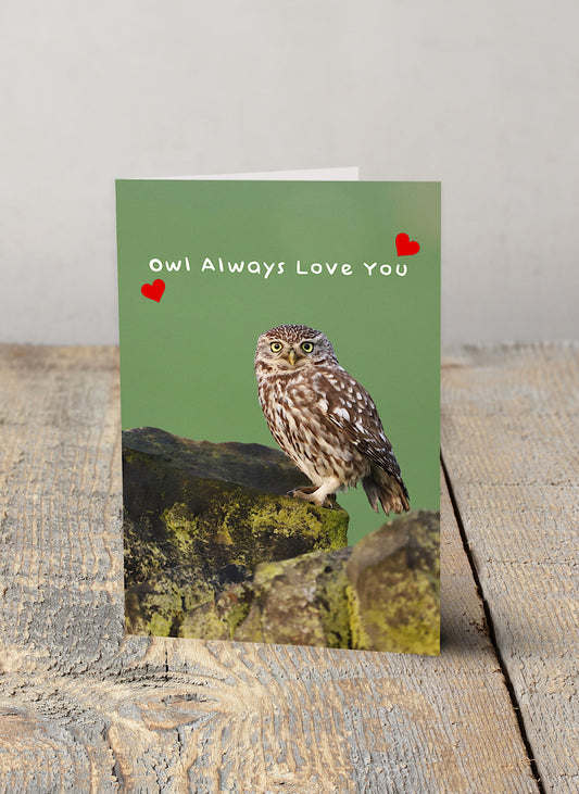 Owl Always Love You Valentine Card