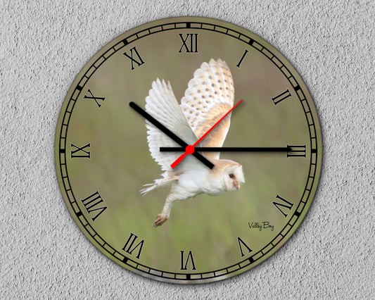 "Flying Barn Owl” Clock