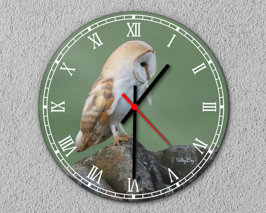 "Beautiful Barn Owl” Clock