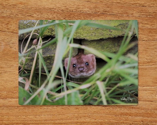 “Pop Goes The Weasel” Glass Worktop Saver