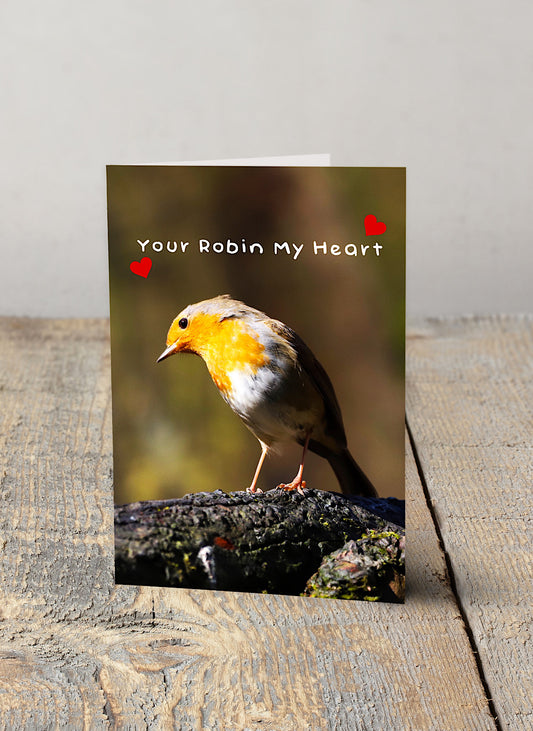 Robin My Heart Valentine Card