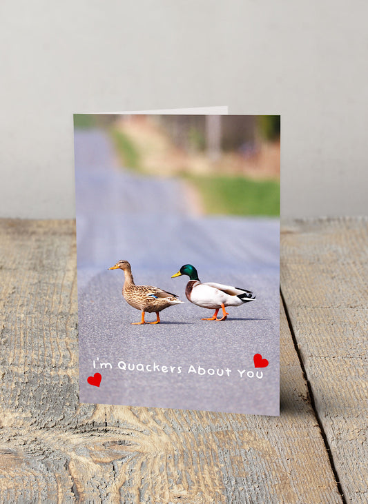 Quackers About You Valentine Card