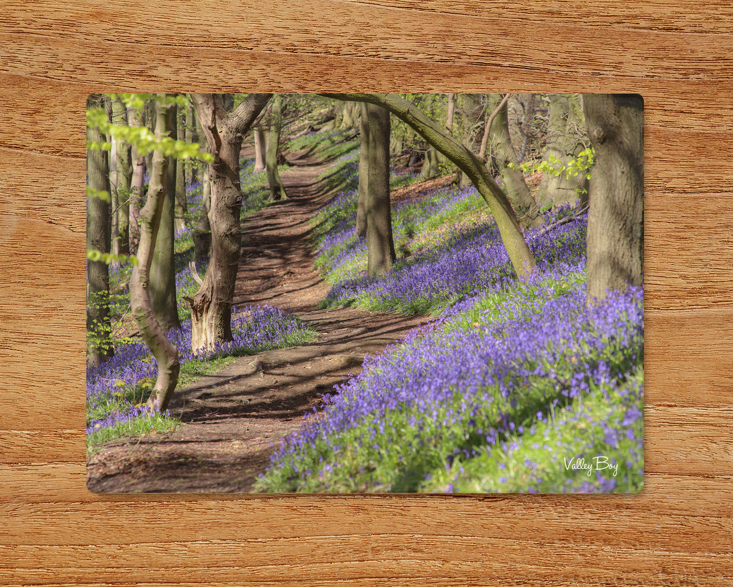 "Bluebell Bonanza” Glass Worktop Saver