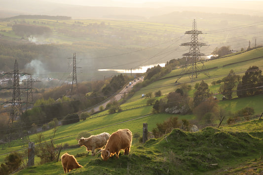 “Evening light at Stocksbridge” Print