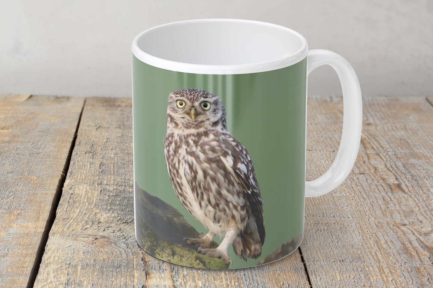 “Beautiful Little Owl” Mug