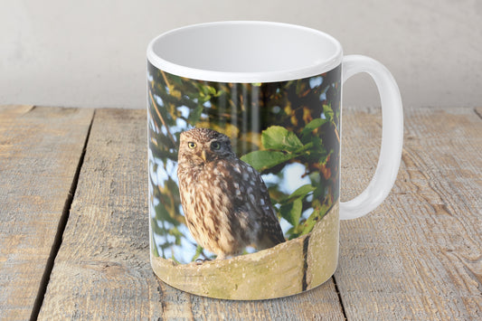 “Lovely Little Owl” Mug