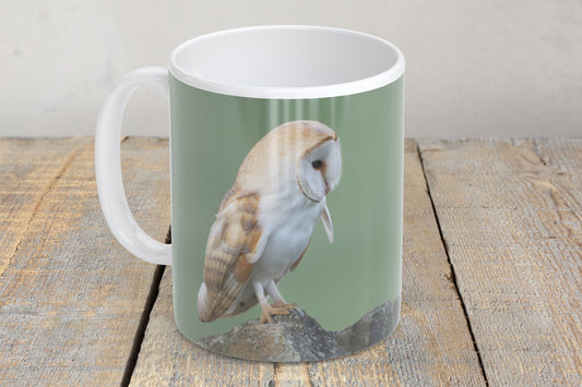 “Lovely Barn Owl” Mug