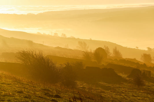 “Golden Dawn at Hartcliff" Print