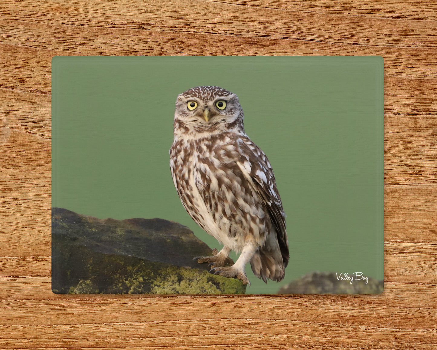 "Little Owl” Glass Worktop Saver