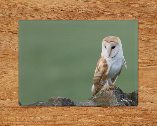 "Beautiful Barn Owl” Glass Worktop Saver