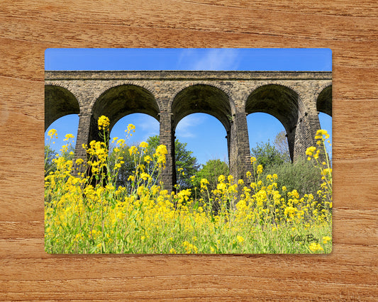 “The Viaduct and the Rapeseed field at Penistone” Glass Worktop Saver