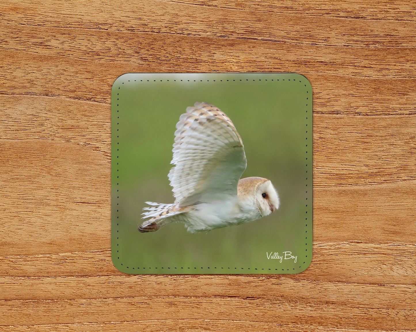 “Barn Owl in Flight” Coaster