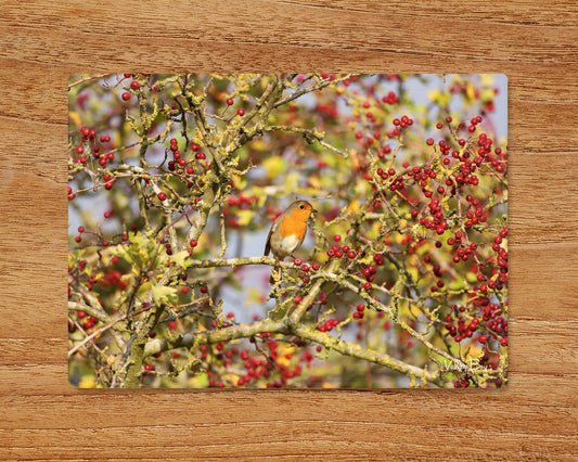 “Robin Amongst The Berries” Glass Worktop Saver