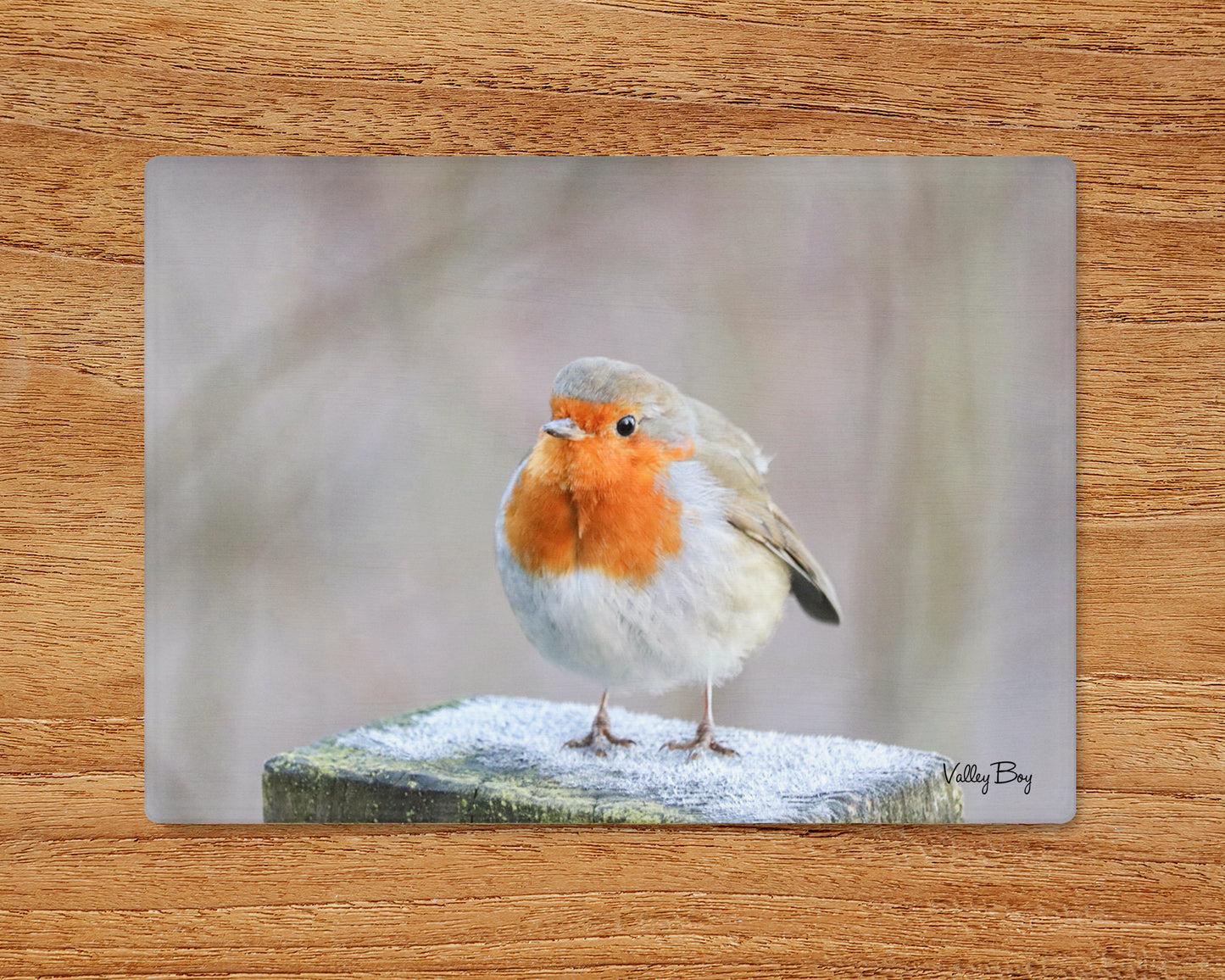 “Frosty Toes” Glass Worktop Saver