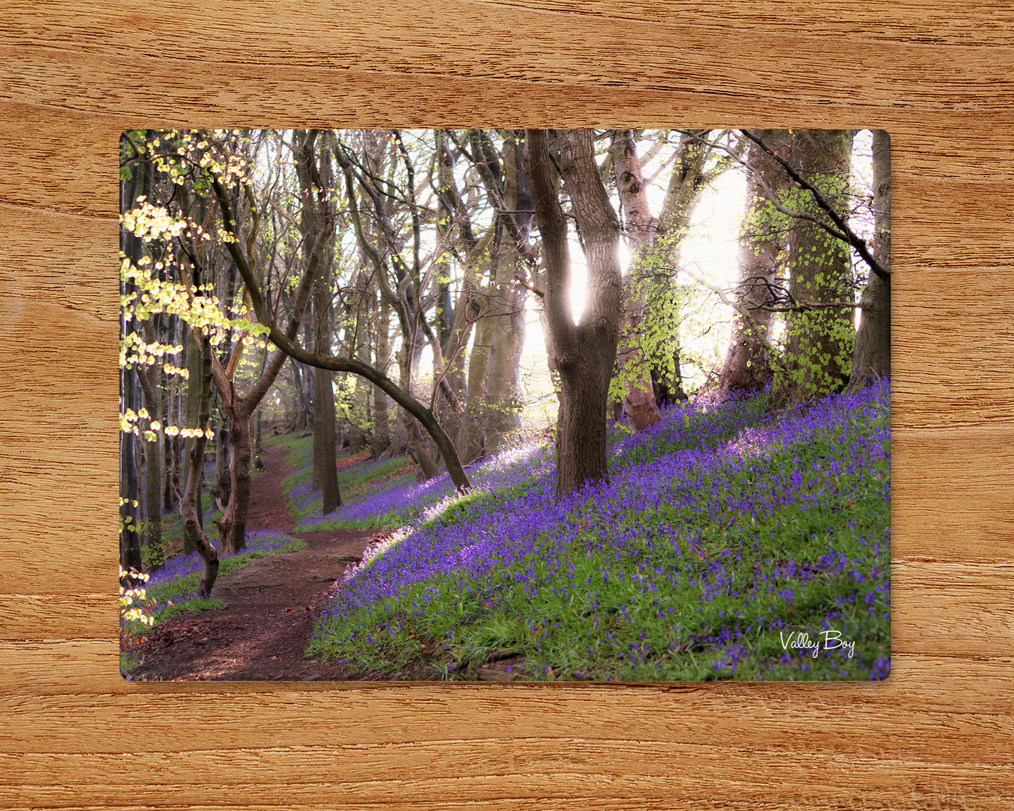 “Magical Bluebell Wood” Glass Worktop Saver