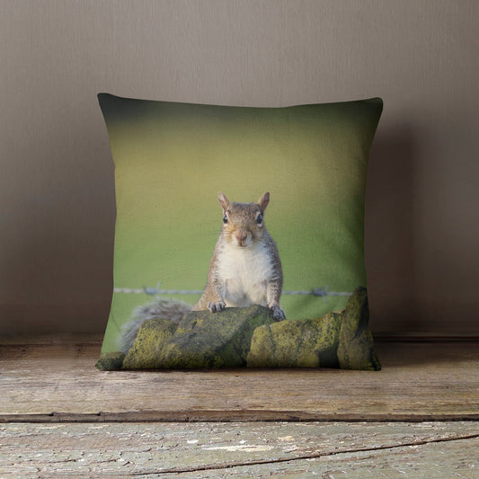 "Cyril Squirrel" Cushion