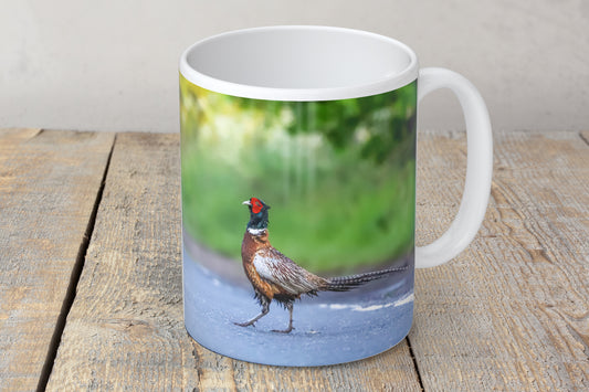 “Rufus Moves Like Jagger” Mug