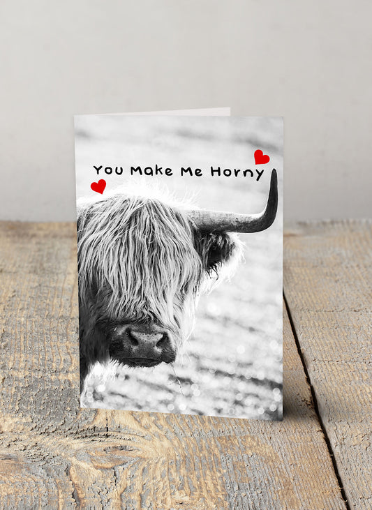 You Make Me Horny Valentine Card