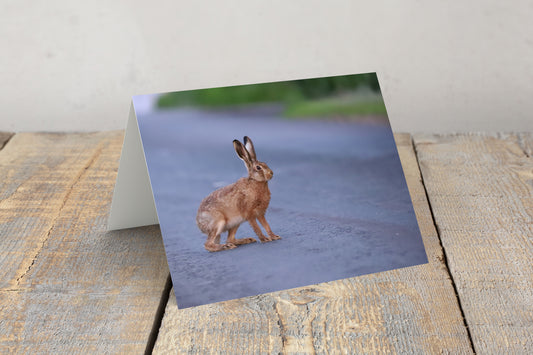 “Henry Hare Crossing” Greeting Card