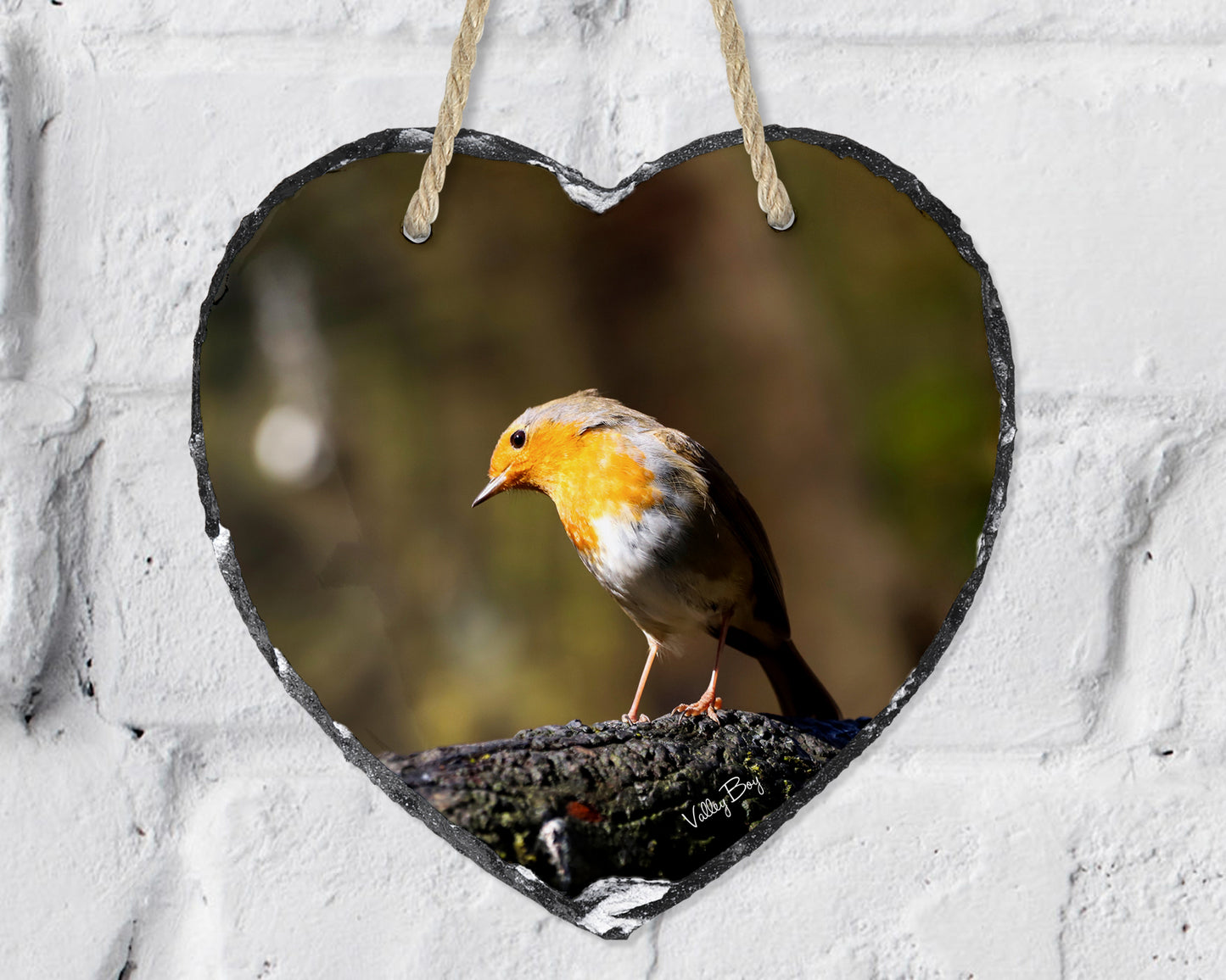 “Thoughtful Robin” Heart Slate