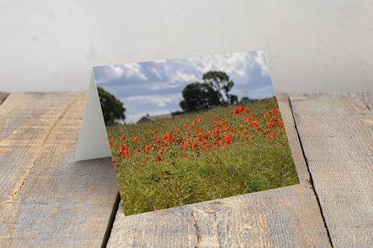 "Poppy Field at Oxspring” Greeting Card
