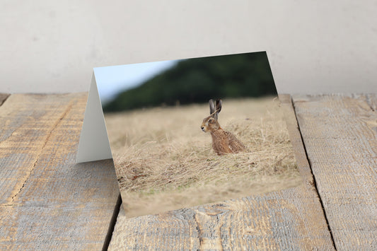 "Henry Hare” Greeting Card