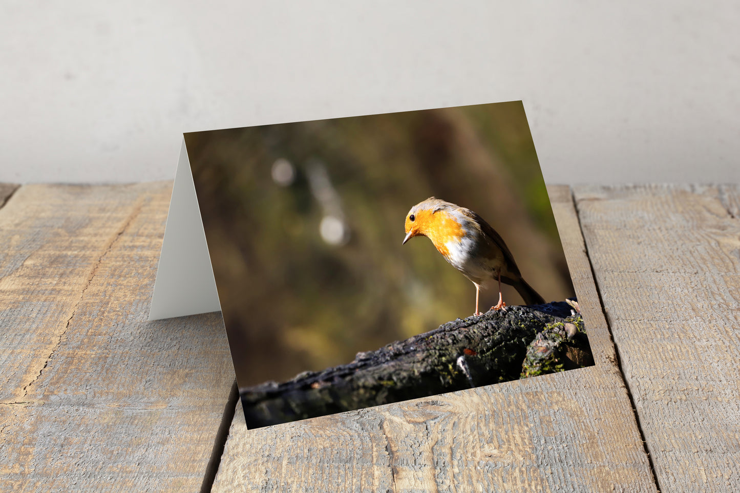 "Stunning Robin” Greeting Card
