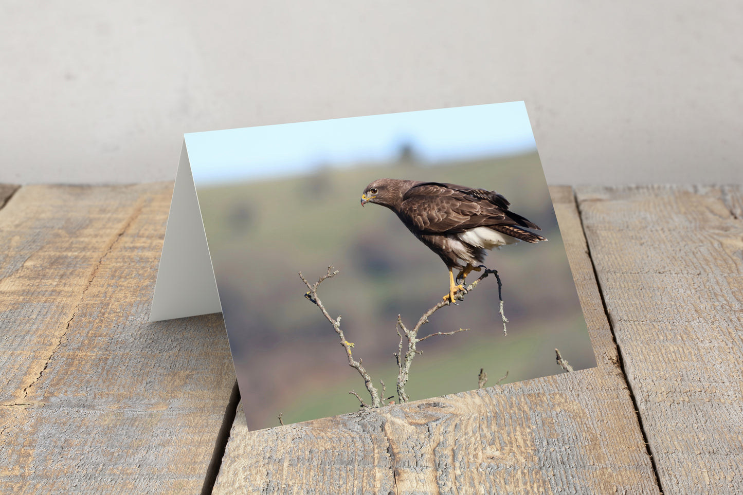 "Beautiful Buzzard” Greeting Card