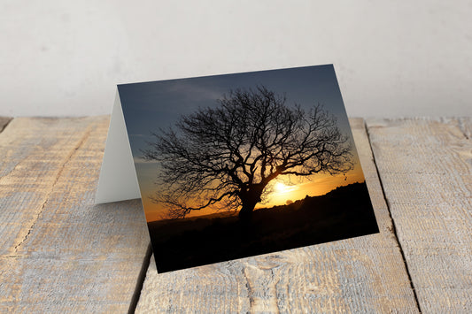 "Tree at Sunrise on Whitwell Moor” Greeting Card