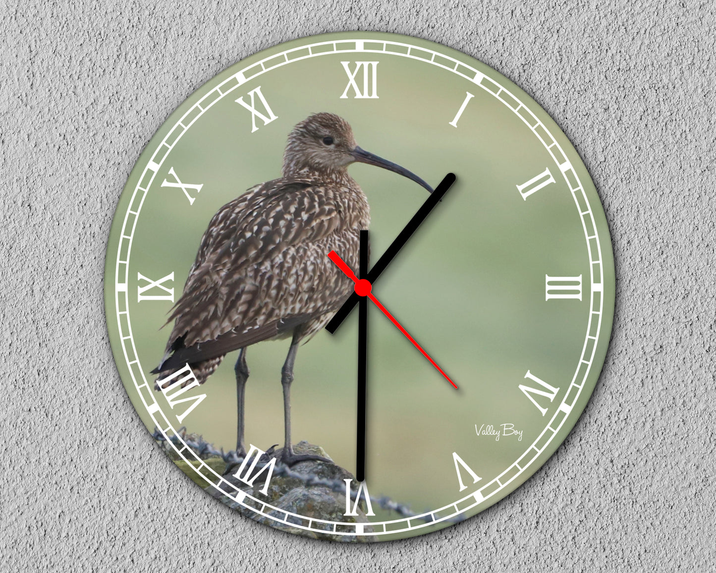 “Early Morning Curlew” Clock