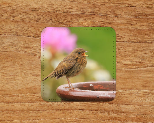 “Young Robby” Coaster