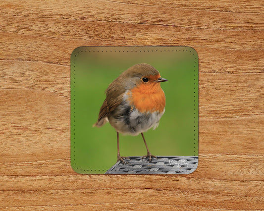 “Robby Robin” Coaster