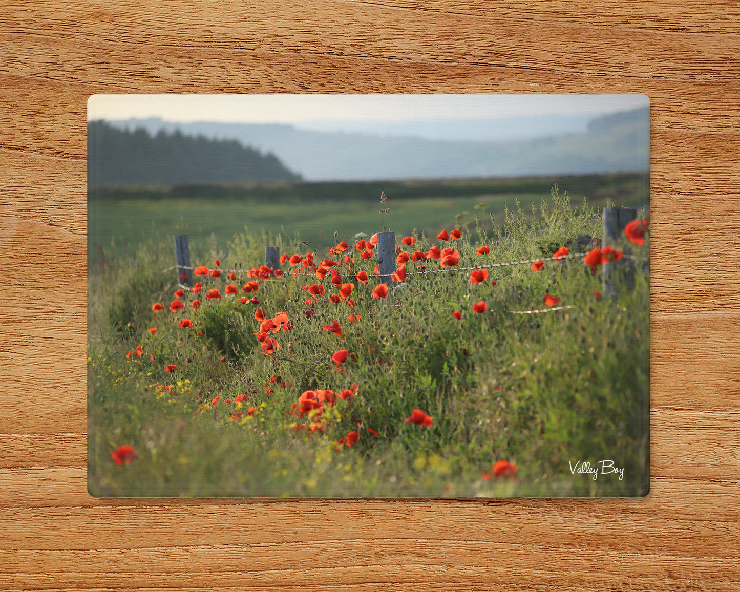 "Poppies at High Bradfield” Glass Worktop Saver