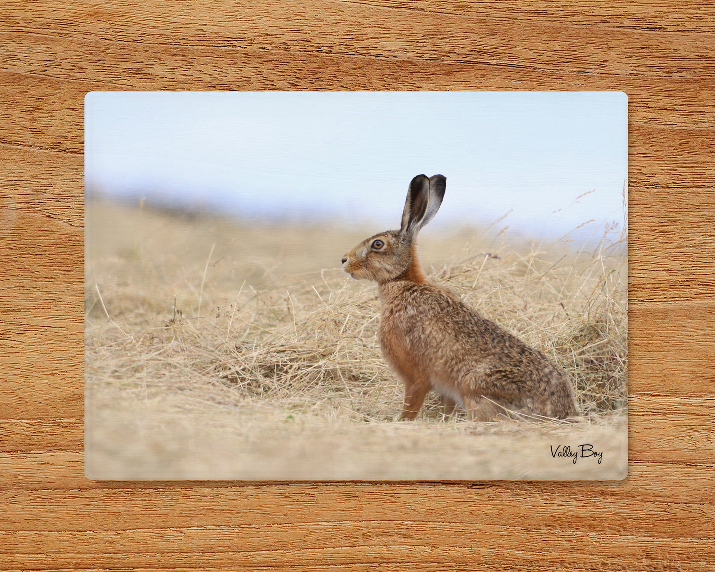 “Henry Hare” Glass Worktop Saver