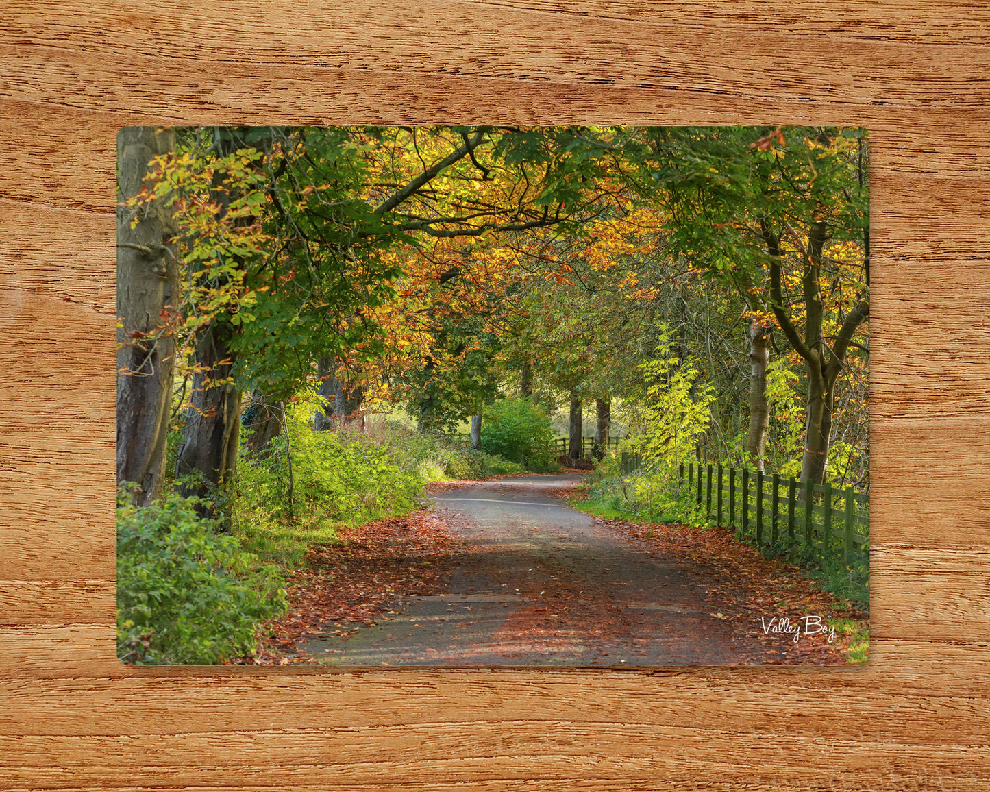 “Autumnal Delight in the Ewden Valley” Glass Worktop Saver