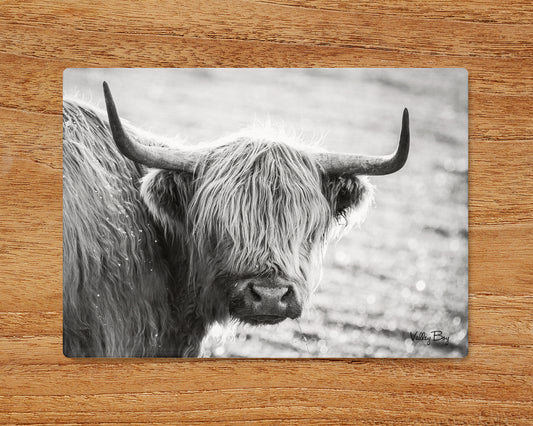 “Highland Moo” Glass Worktop Saver