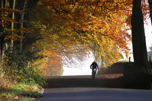 "Autumn Rider” Print