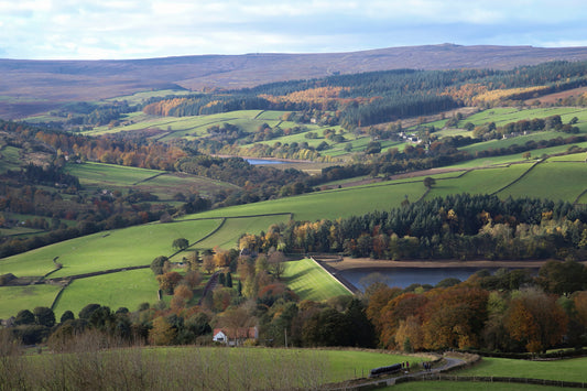 "Bradfield Landscape” Print