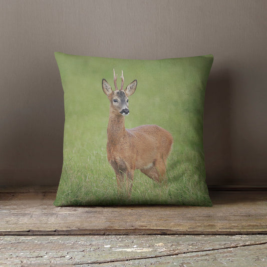 "Handsome Buck” Cushion